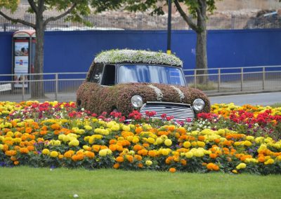 Mini Flowers