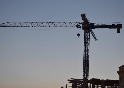 Crane silhouette