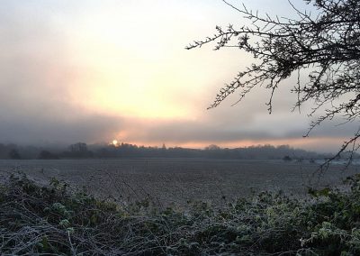 Misty morning