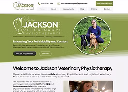 JacksonsVetPhysio Lisa Ventura Website
